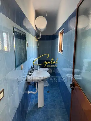 APARTAMENT ME QIRA 1+1 ALI DEMI 40.000 LEKE
