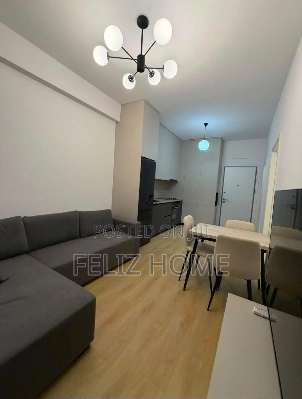 APARTAMENT ME QERA 1+1 ALI DEMI 45.000 LEKE