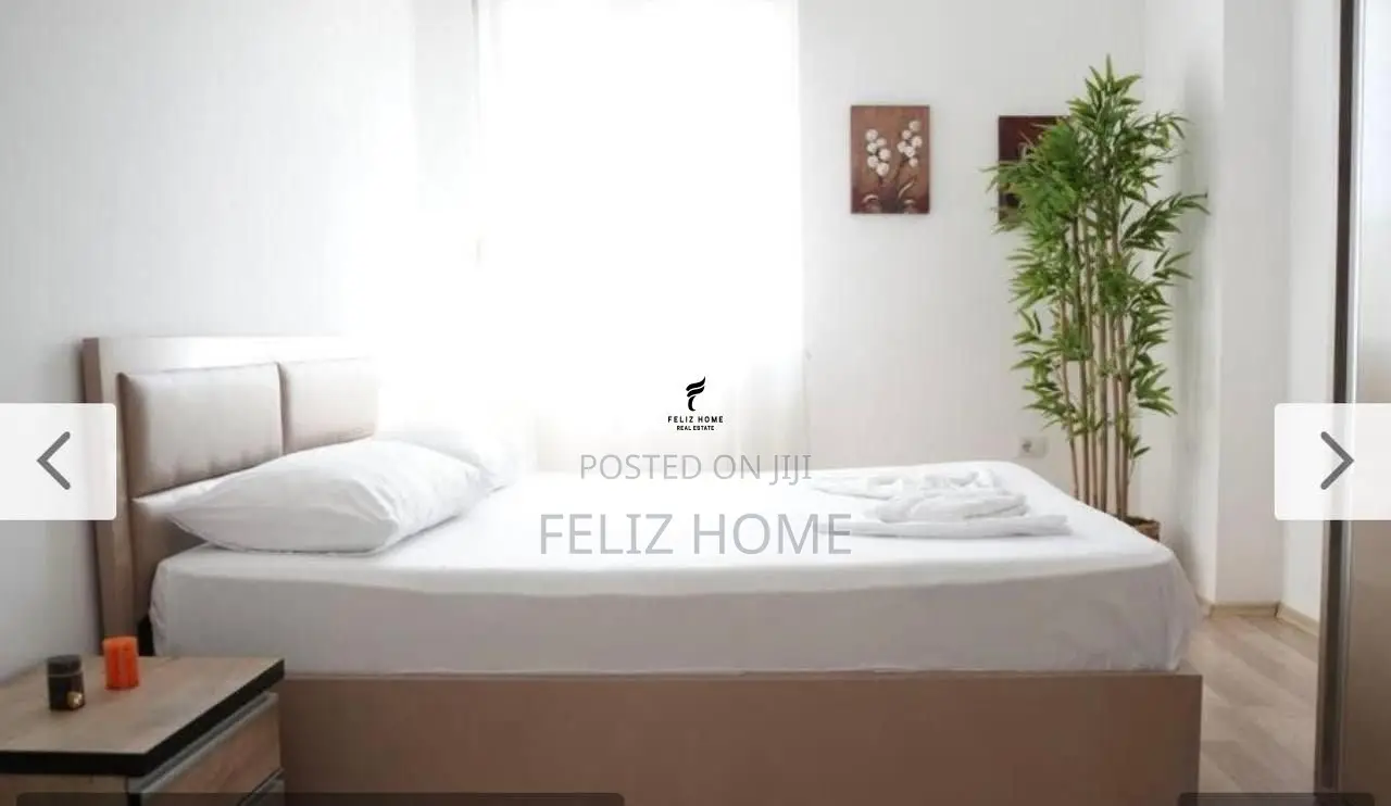 APARTAMENT ME QERA 1+1 QENDER 700 EURO