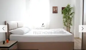 APARTAMENT ME QERA 1+1 QENDER 700 EURO