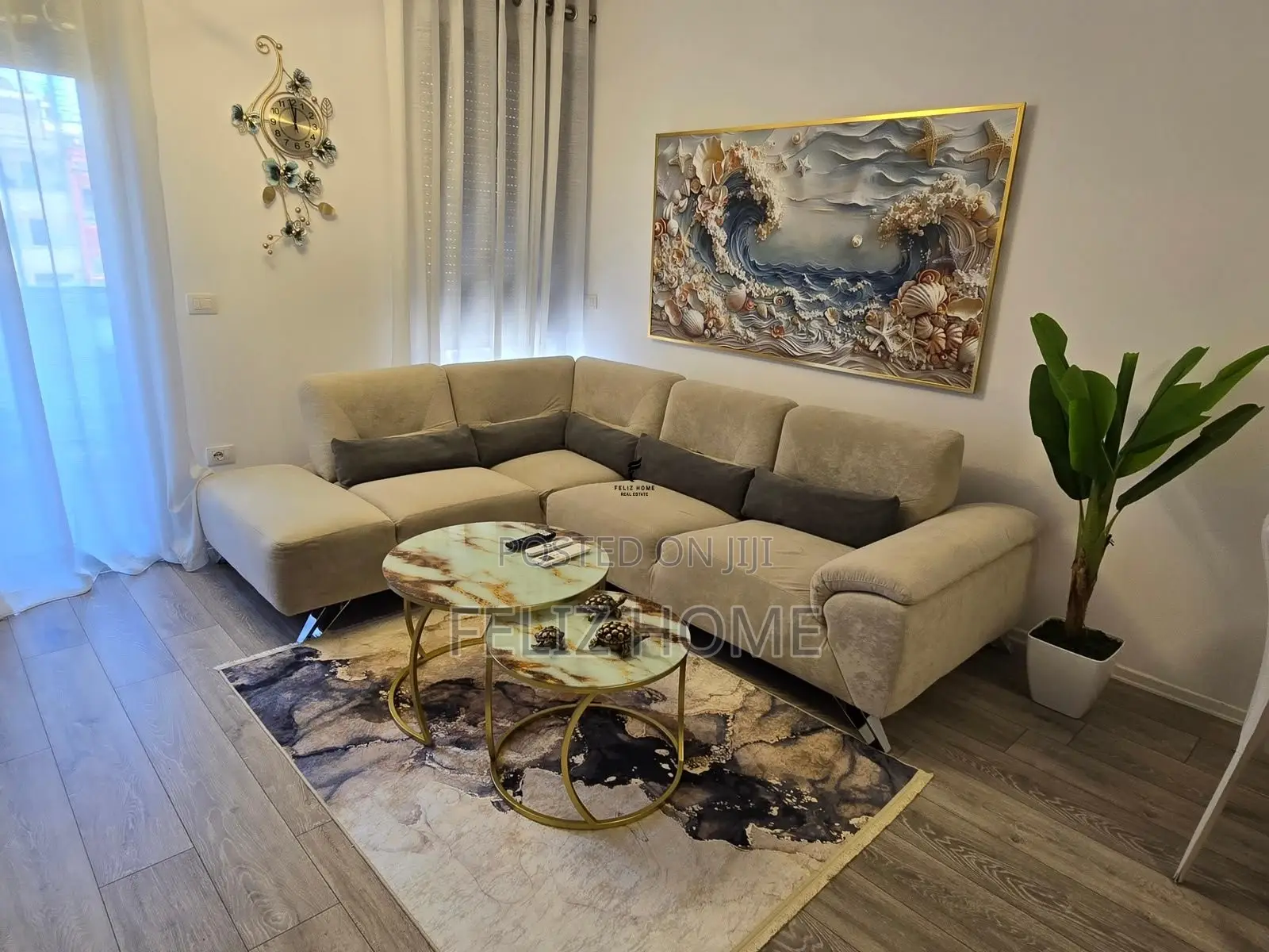 APARTAMENT ME QERA 1+1 ALI DEMI 60.000 LEKE