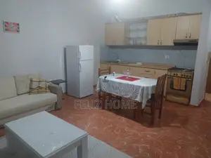 APARTAMENT ME QERA 1+1 RRUGA E ELBASANIT 52.000 LEKE