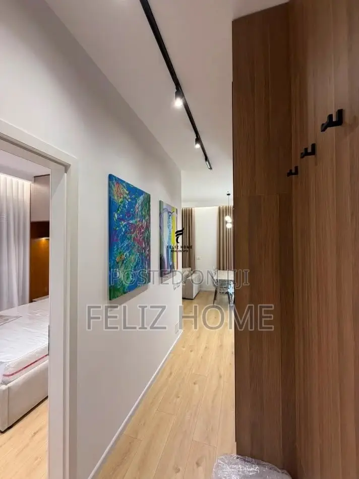 APARTAMENT ME QERA 1+1 ALI DEMI 55.000 LEKE