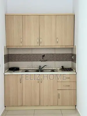 APARTAMENT ME QERA 2+1 RRUGA E ELBSANIT 700 EURO