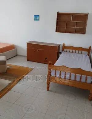 APARTAMENT ME QERA 1+1 VASIL SHANTO 60.000 LEKE