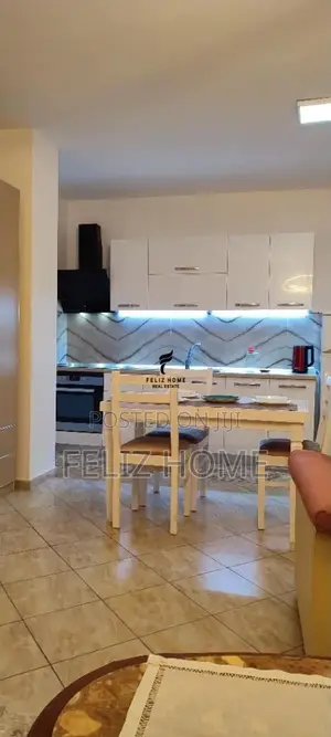 APARTAMENT ME QERA 1+1 ISH PARKU 55.000 LEKE