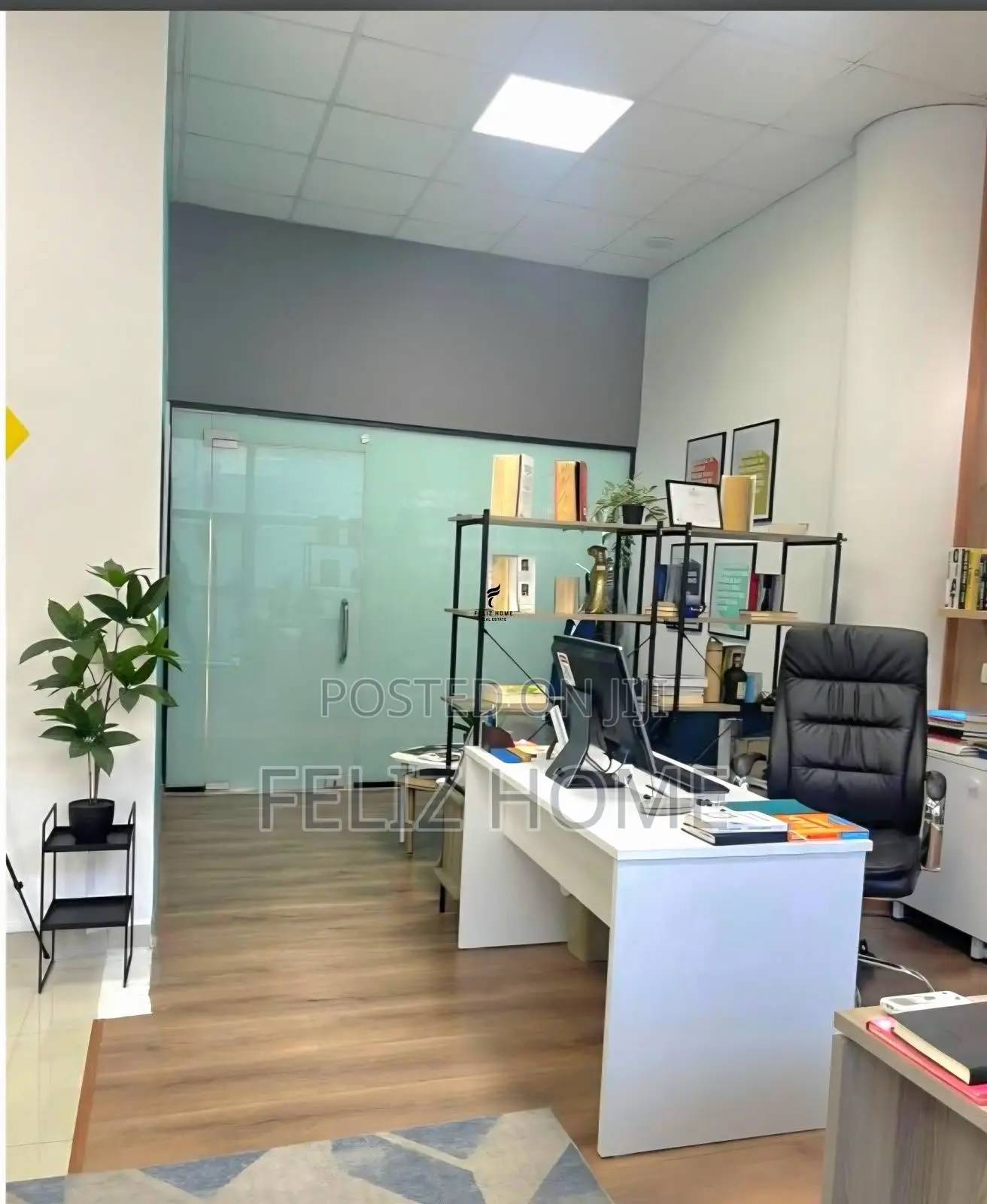 SHITET ZYRE 54M2 SHESHI WILLSON 210.000 EURO