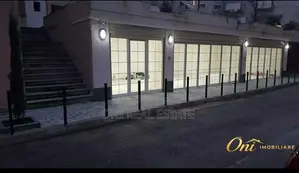 Store to rent Dry Lake - Botanical Garden - Zoo (Tirana - city)