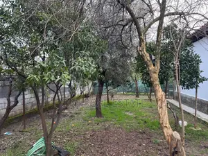 Detached House to rent Allias (Tirana - city)