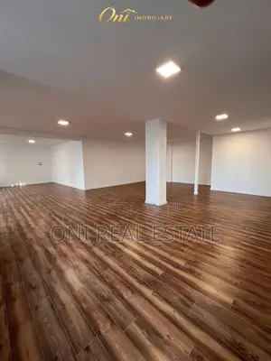 Office to rent Dry Lake - Botanical Garden - Zoo (Tirana - city)