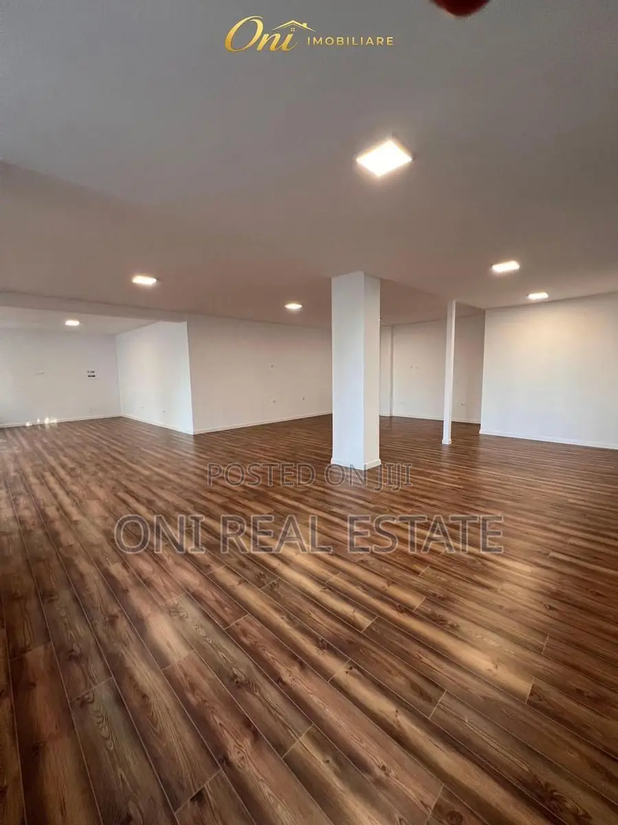 Office to rent Dry Lake - Botanical Garden - Zoo (Tirana - city)