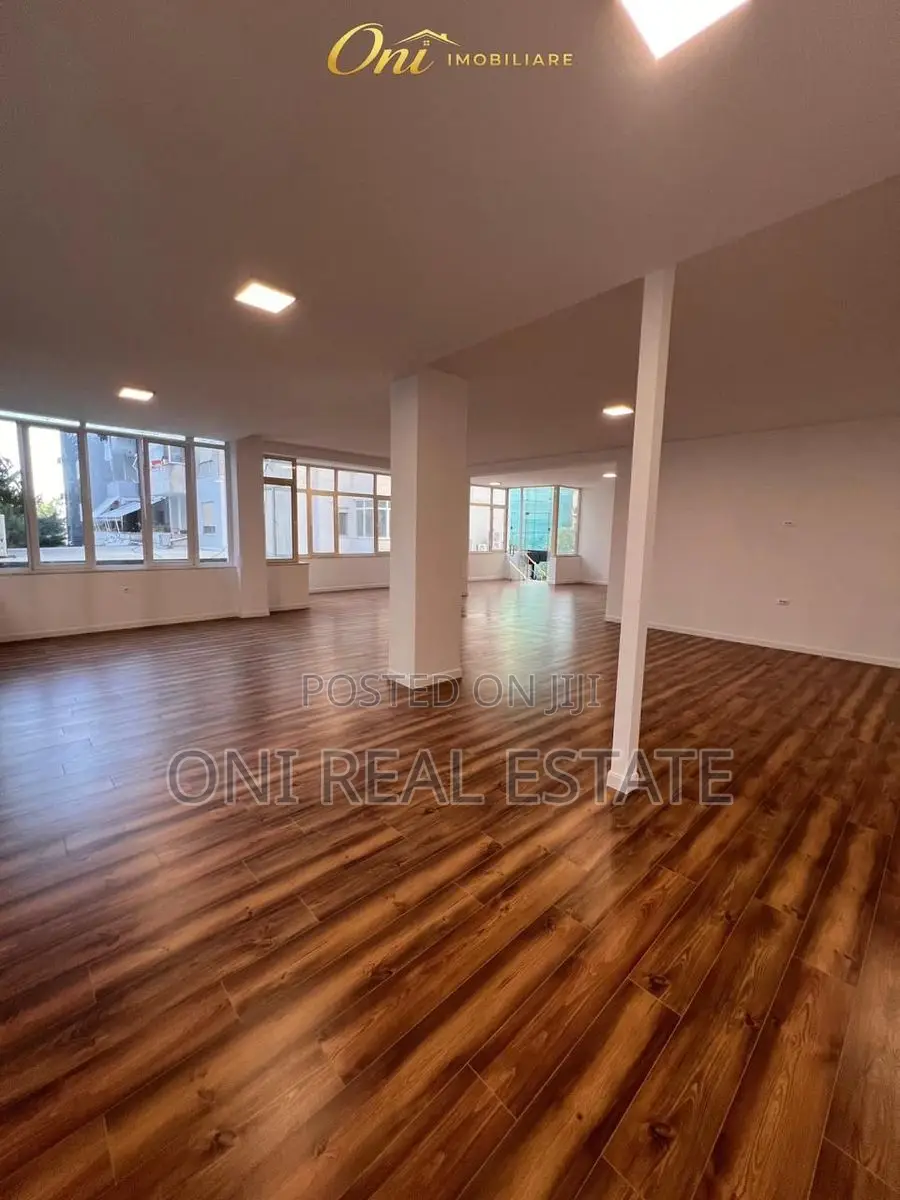 Office to rent Dry Lake - Botanical Garden - Zoo (Tirana - city)