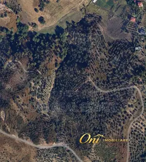 Farm parcel for sale Mjull - Bathore (Tirana - city)