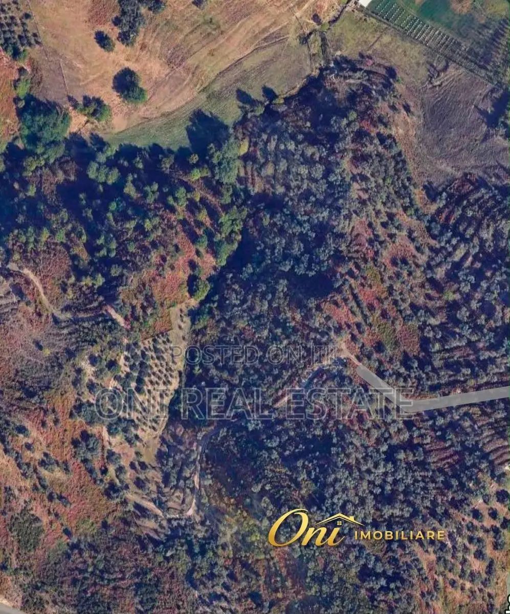Farm parcel for sale Mjull - Bathore (Tirana - city)