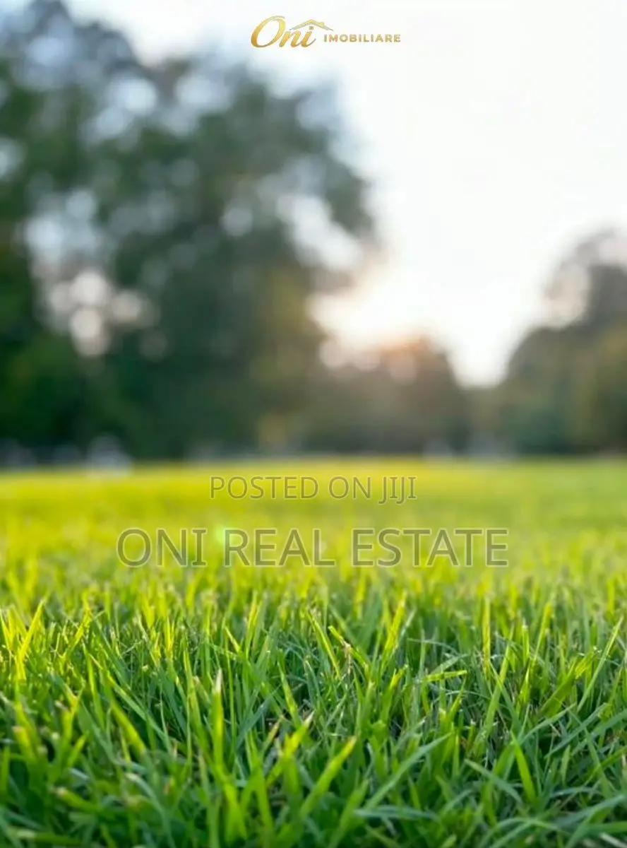 Farm parcel for sale Ibe (Tirana Suburbs)
