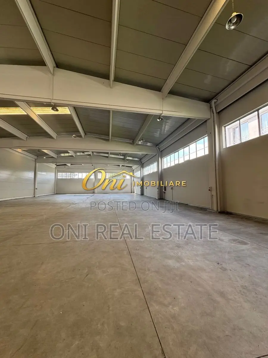 Business building to rent Casa Italia (Tirana - city)