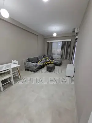 APARTAMENT ME QIRA 1+1 SPITALI AMERIKAN 3 60.000 LEKE