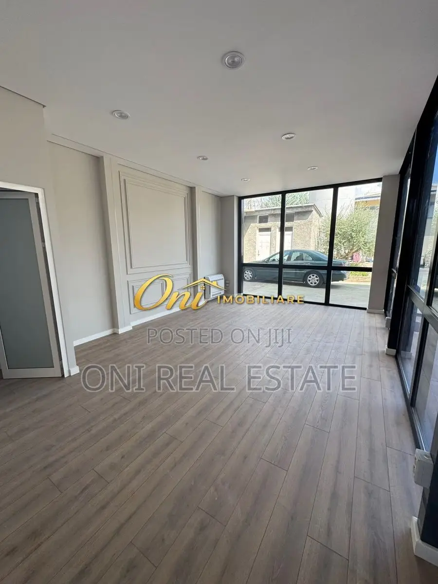 Business building to rent Casa Italia (Tirana - city)