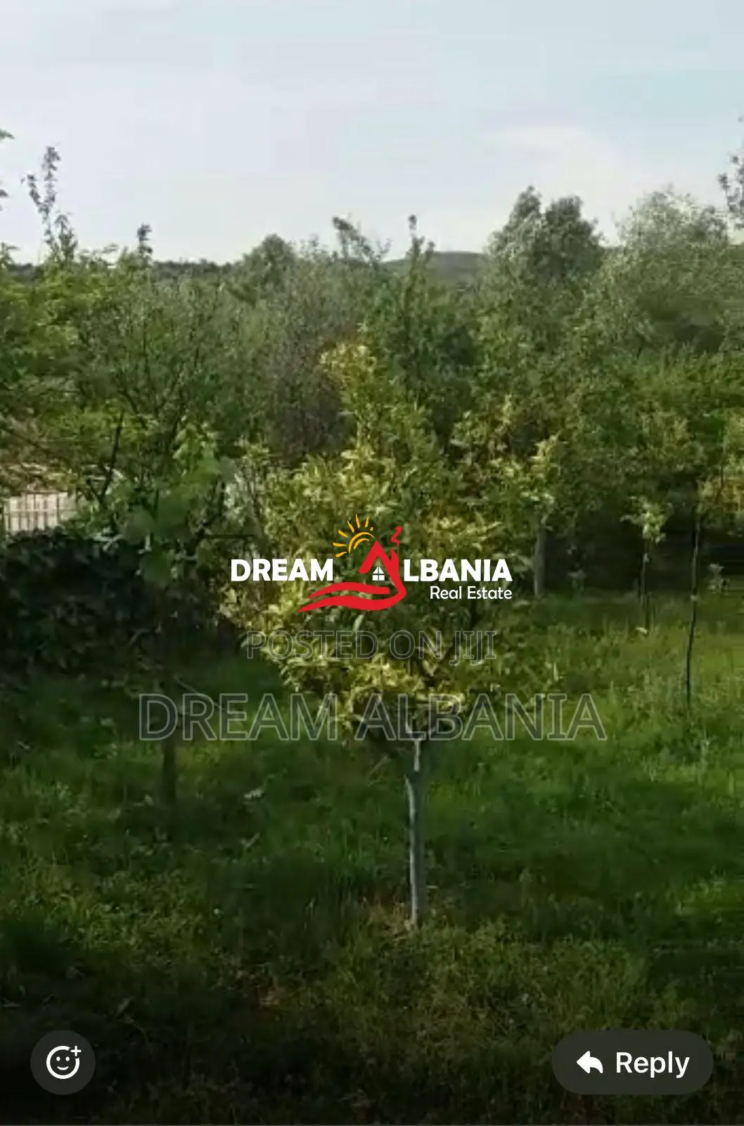 Disa toka ne shitje ne Ibe e Poshtme, Tirane(ID 4191145)