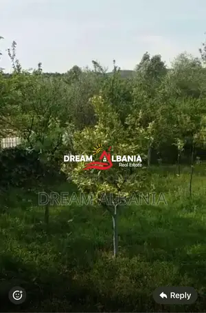 Disa toka ne shitje ne Ibe e Poshtme, Tirane(ID 4191145)