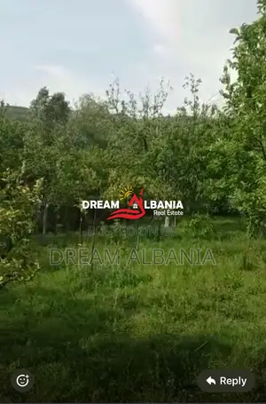 Disa toka ne shitje ne Ibe e Poshtme, Tirane(ID 4191145)