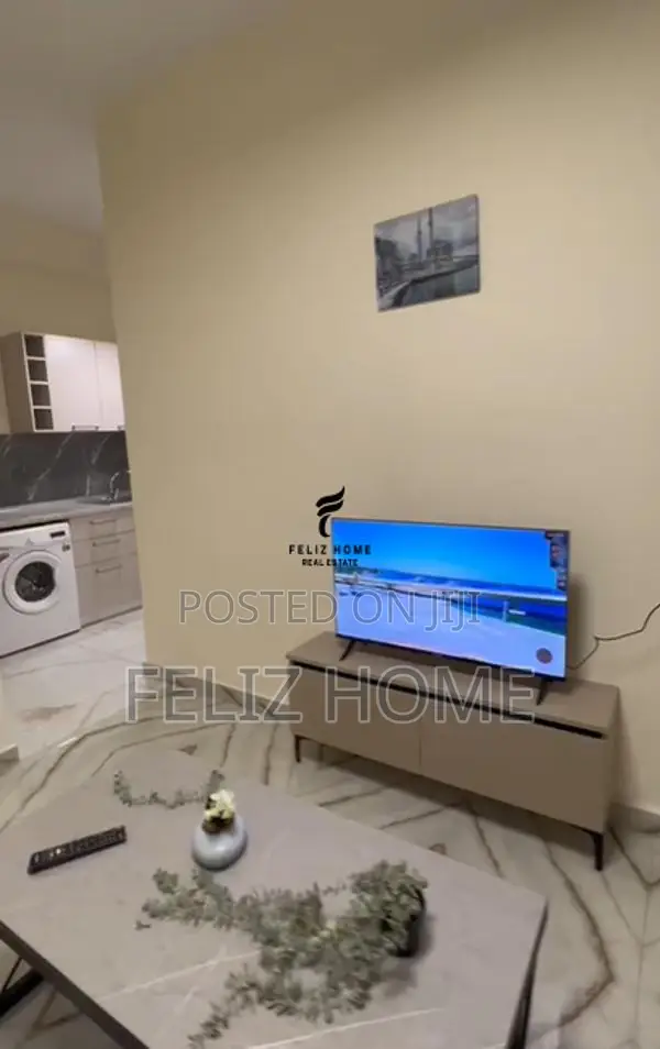 APARTAMENT ME QERA 1+1 ALI DEMI 40.000 LEKE