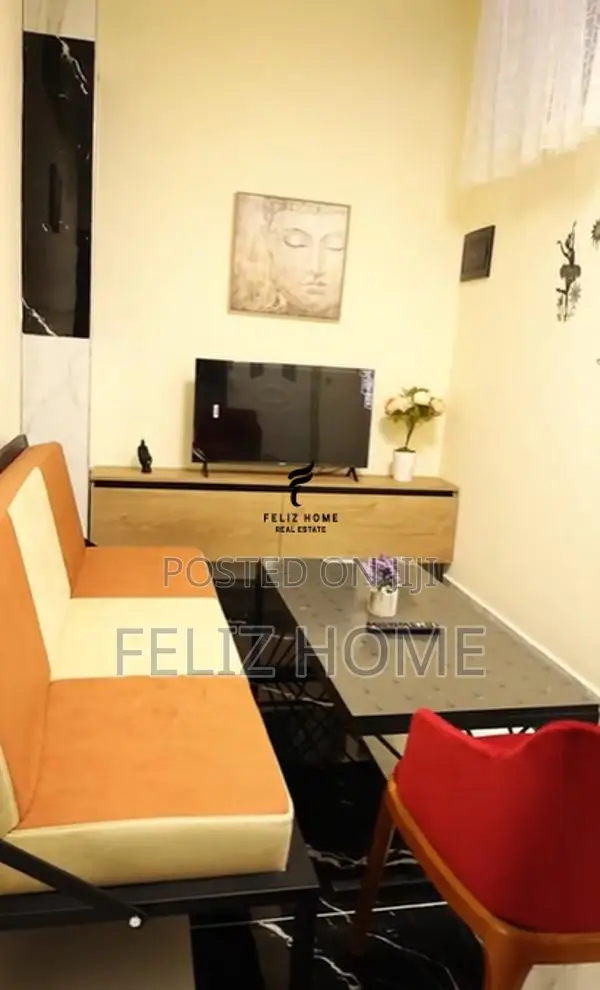 APARTAMENT ME QERA 1+1 ALI DEMI 40.000 LEKE