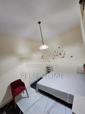 APARTAMENT ME QERA 1+1 ALI DEMI 40.000 LEKE