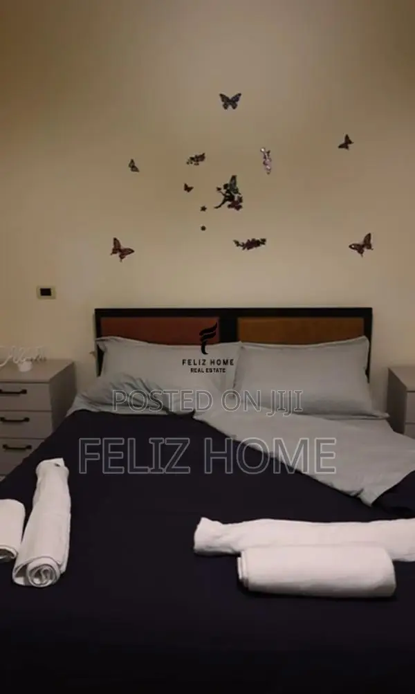 APARTAMENT ME QERA 1+1 ALI DEMI 40.000 LEKE