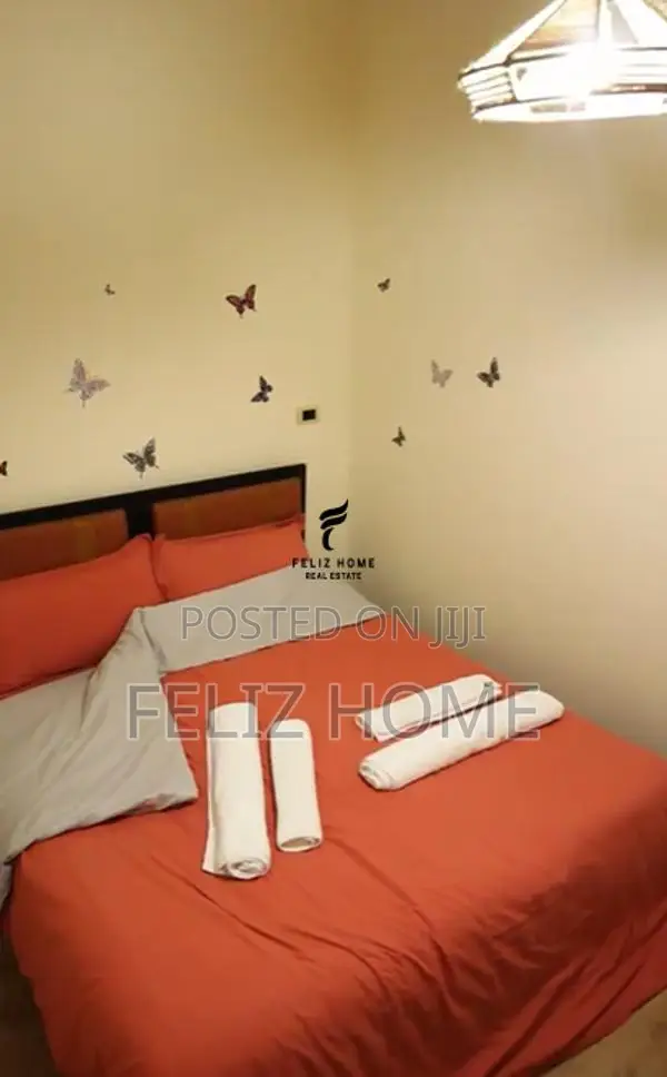 APARTAMENT ME QERA 1+1 ALI DEMI 40.000 LEKE
