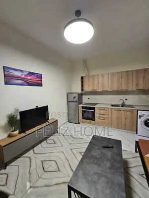 APARTAMENT ME QERA 1+1 ALI DEMI 40.000 LEKE