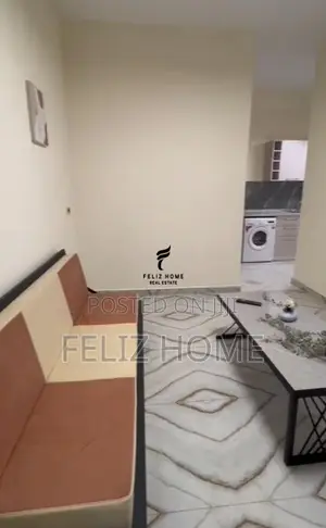 APARTAMENT ME QERA 1+1 ALI DEMI 40.000 LEKE