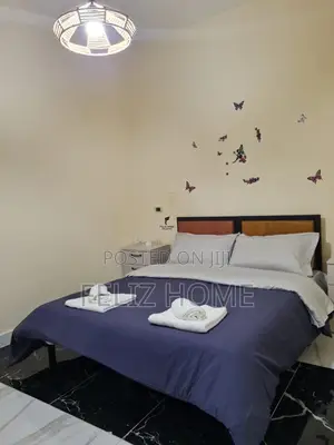 APARTAMENT ME QERA 1+1 ALI DEMI 40.000 LEKE