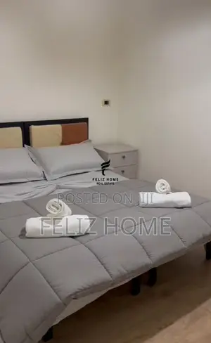 APARTAMENT ME QERA 1+1 ALI DEMI 40.000 LEKE