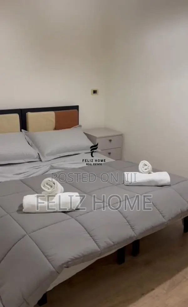 APARTAMENT ME QERA 1+1 ALI DEMI 40.000 LEKE