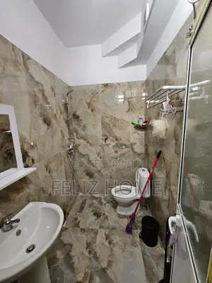 APARTAMENT ME QERA 1+1 ALI DEMI 40.000 LEKE