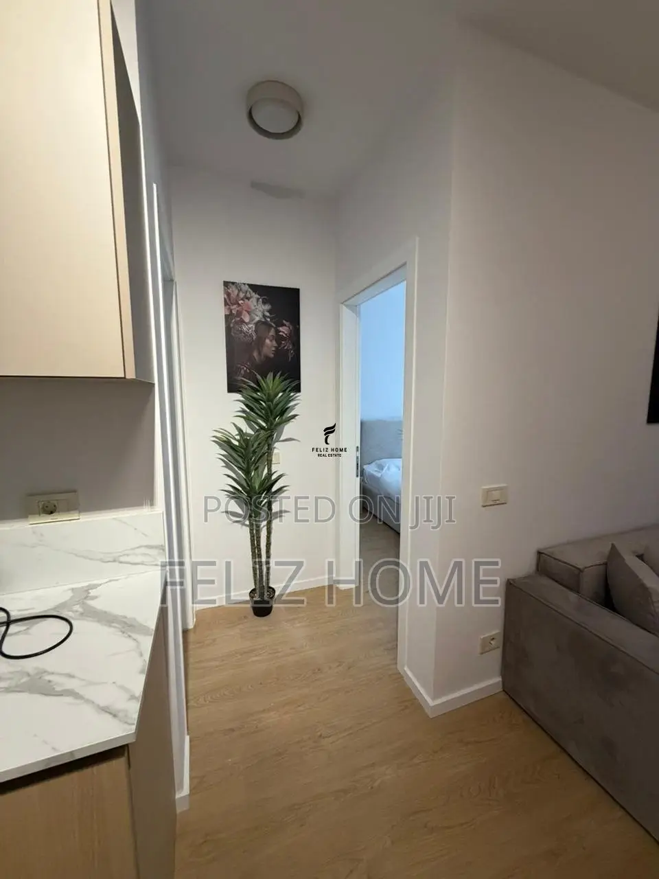 APARTAMENT ME QERA 1+1 MINE PEZA 110.000 LEKE