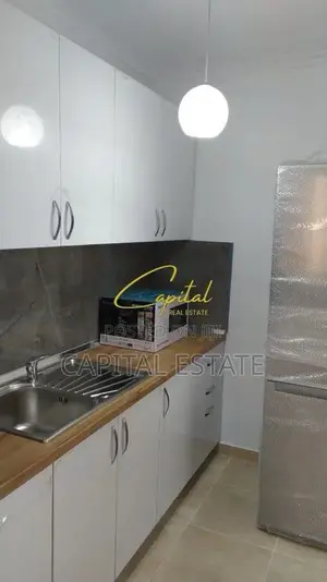APARTAMENT ME QIRA 1+1 PORCELAN 550 EURO
