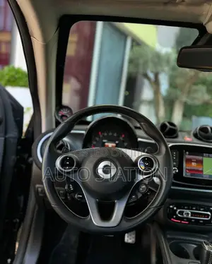 Smart BRABUS Armored Blind