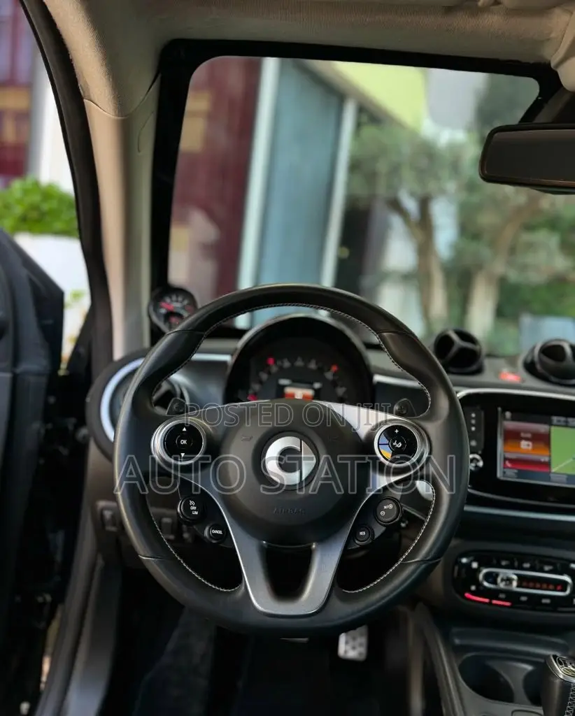 Smart BRABUS Armored Blind