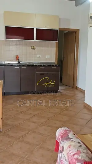 APARTAMENT ME QIRA 2+1 5 MAJI 40.000 LEKE