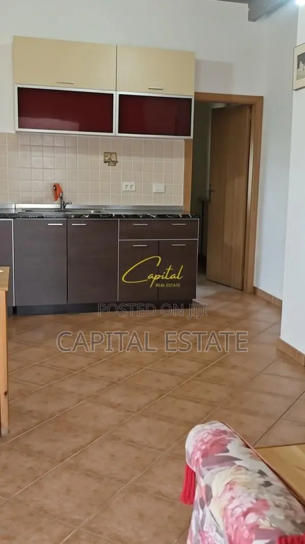 APARTAMENT ME QIRA 2+1 5 MAJI 40.000 LEKE