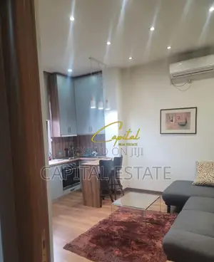 APARTAMENT ME QIRA 1+1 QENDER 60.000 LEKE