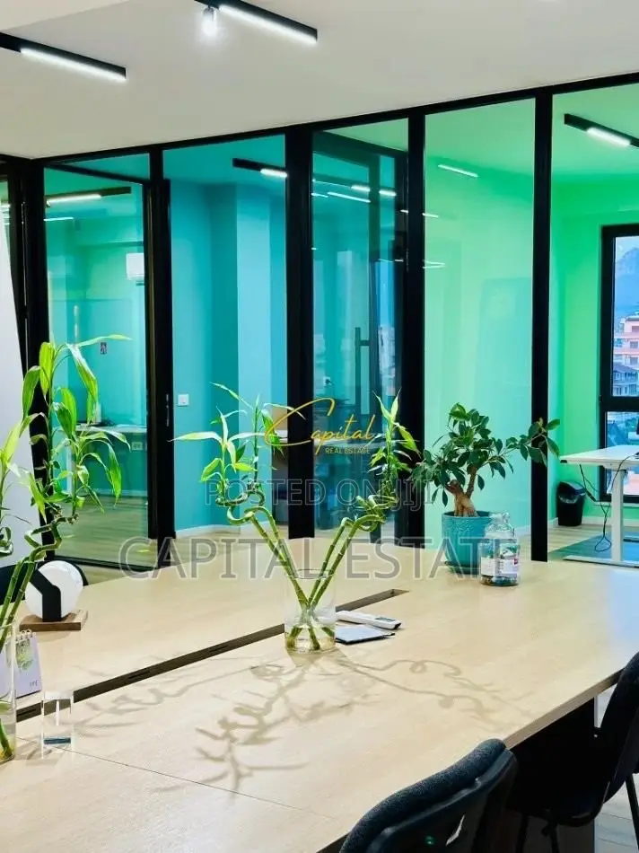 ZYRE ME QIRA 220 M2 BULEVARDI I RI 1.700 EURO