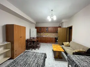 GARSONIERE ME QIEA 75 M2 VASIL SHANTO 40.000 LEKE