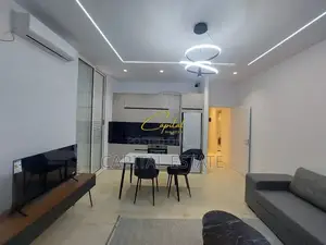 APARTAMENT ME QIRA 1+1 KODRA E DIELLIT 500 EURO