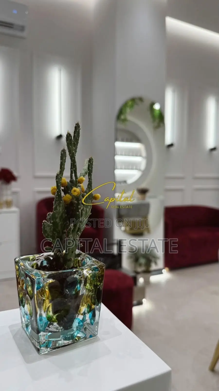 AMBIENT BIZNESI ME QIRA 50 M2 ASTIR 600 EURO