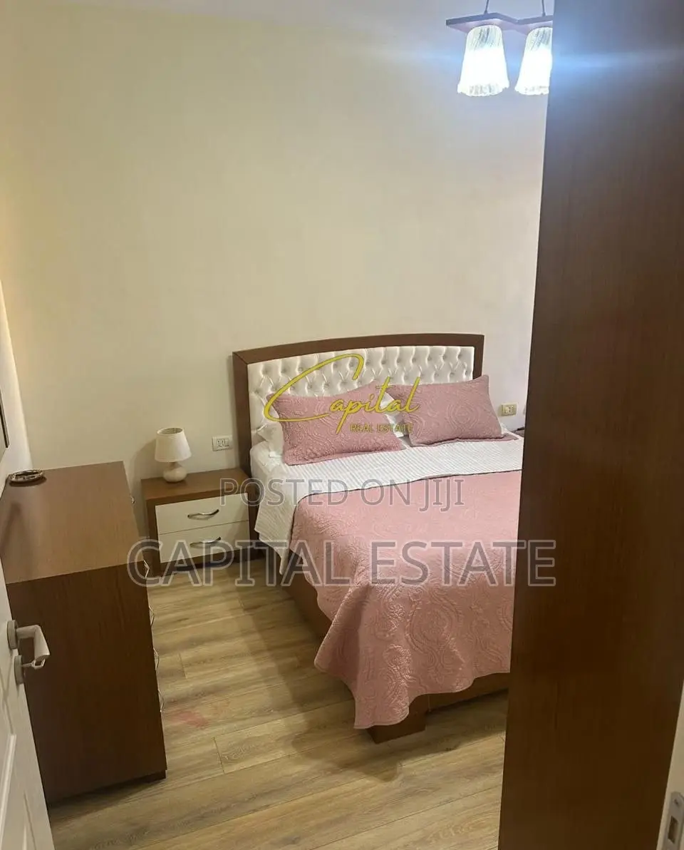 APARTAMENT ME QIRA 2+1 LIQENI ARTIFICIAL 700 EURO
