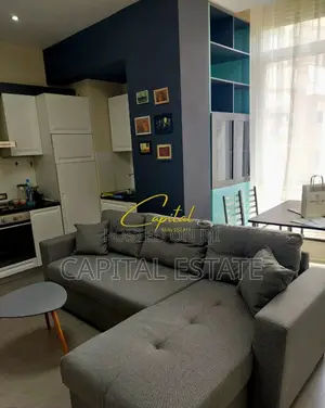APARTAMENT ME QIRA 1+1 RRUGA E ELBASANIT 60.000 LEKE