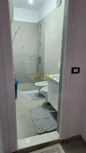 APARTAMENT DUBLEX 1+1 ME QIRA ALI DEMI 500 EURO